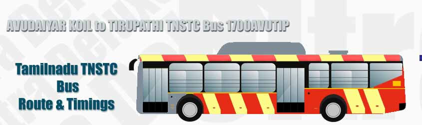 AVUDAIYAR KOIL to TIRUPATHI TNSTC Bus 1700AVUTIP